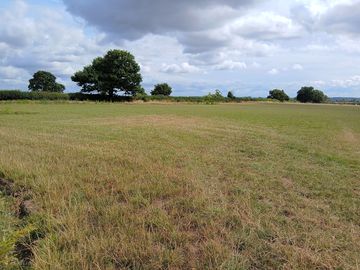 The camping field
