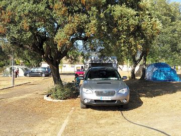 Pitches and parking under trees