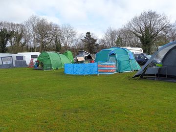 Grass pitches