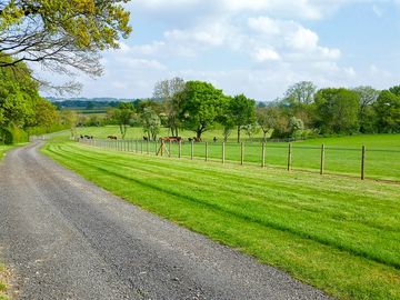 The track to the field