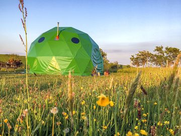 Dome in the meadow