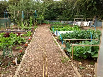 Part of the garden