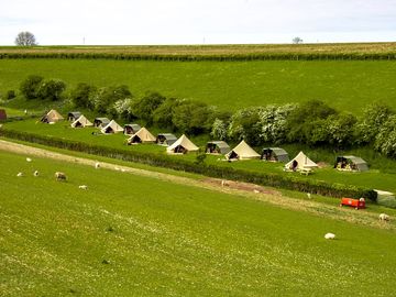 View of the site