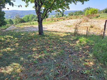 Shaded pitch under a tree