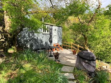 Area around the hut