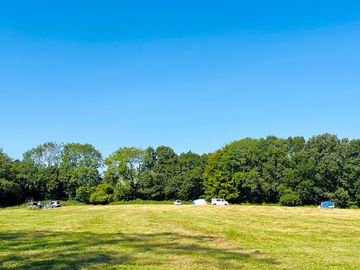 Grass pitches