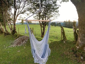 Hammock for guests to enjoy