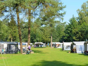 Large shaded pitches