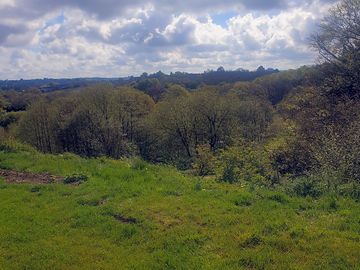 Some of the high views