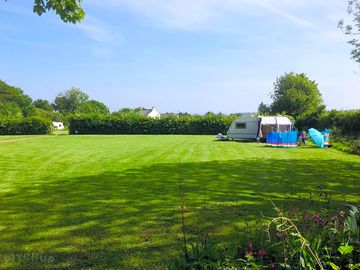 Grass pitches