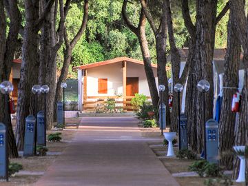 Bungalow backed by trees