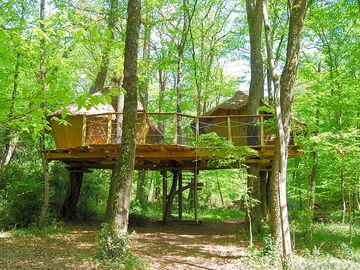 Capucins treehouse