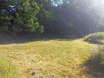 Badger pitch