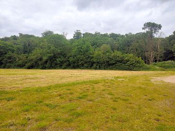 Camping field backed by trees