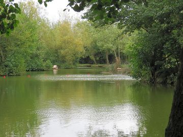Trees around the match pool