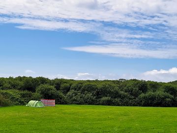 Spacious grass pitches