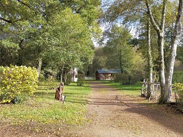 Allée du camping