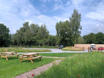 Picnic benches