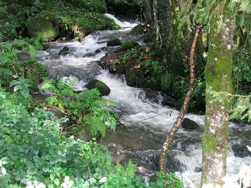 Surrounded by waterways