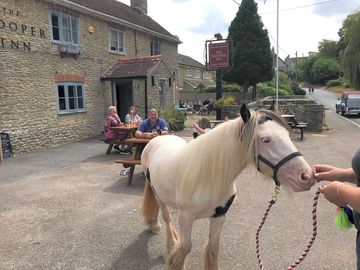 Just popped in for a pint!