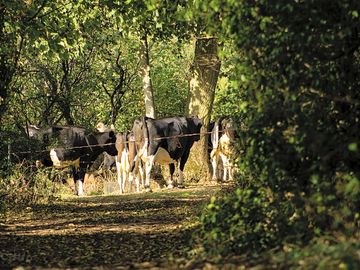 Farm location