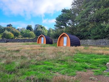 The pods