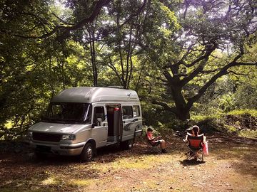 Woodland campervan pitches