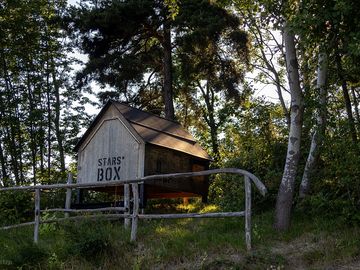 Starsbox among the trees