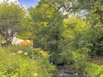 Situation on the bank of the stream in its own private space