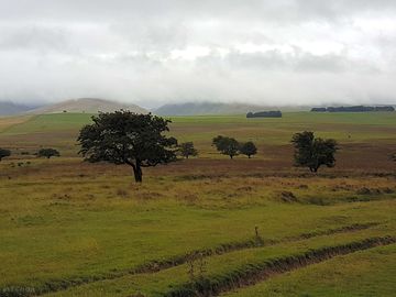 View from the campsite