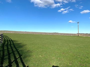 View of the field