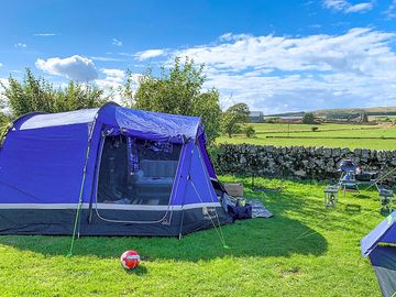 Visitor image of grass tent pitch