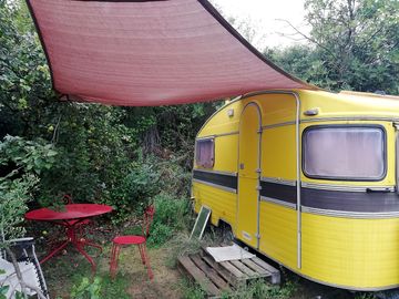 Caravan citron