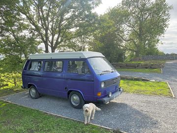 Dog-friendly pitches