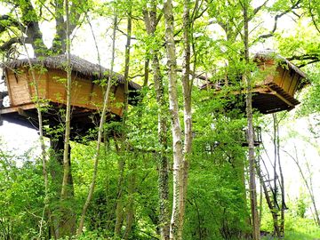 Characterful treehouses