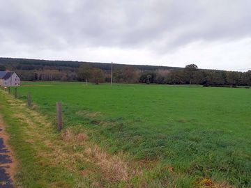The camping field