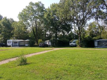 Tourer pitches under the trees