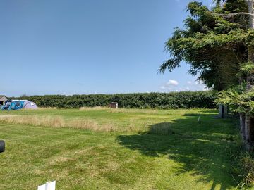 Back field
