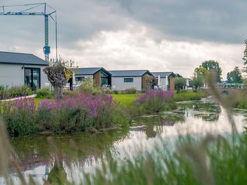 Cottages by the water