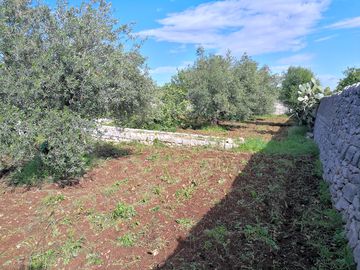 One of the pitches for tents