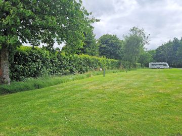 Dart Field