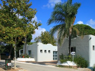 Welcome to the site