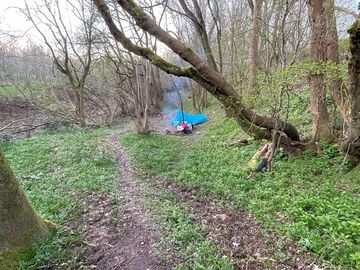 Woodland pitch 20