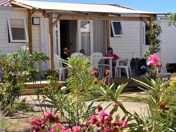 Holiday homes surrounded by plants