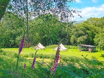 Bell tents and outdoor kitchen