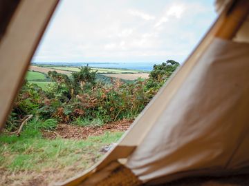 View from the tipi