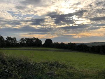 Looking across the site