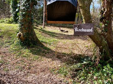 Woodland pitch