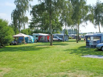 Pitches under the trees