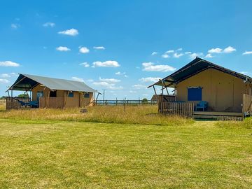 Safari tents